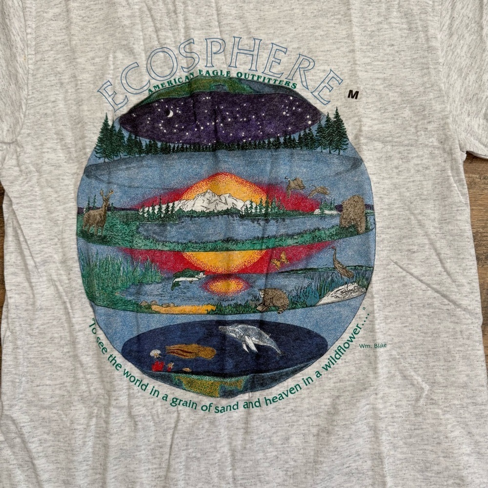 Vintage American Eagle Outfitters Light Gray Tee Medium NWT - Picture 2 of 7
